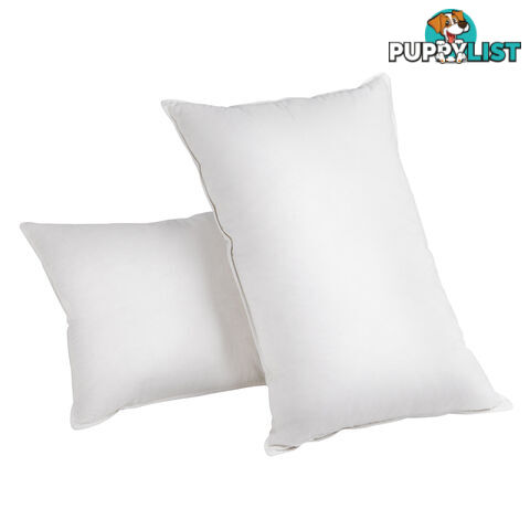 Set of 2 Goose Feathers & Down Pillow