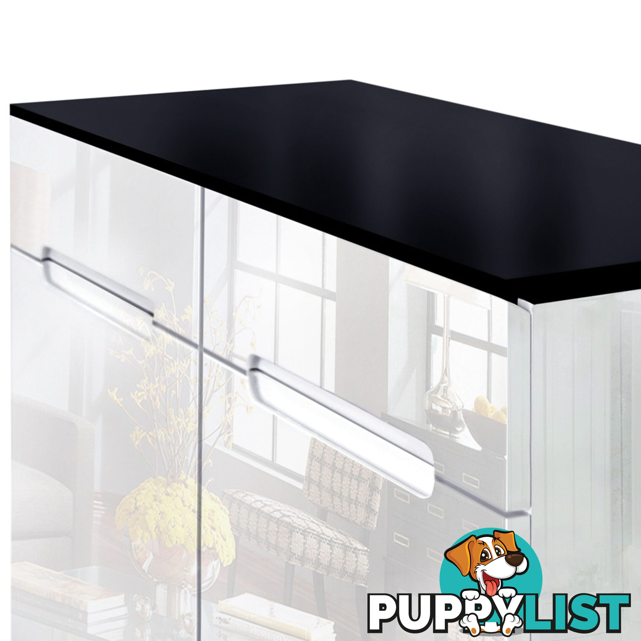 High Gloss Shoe Cabinet Rack Black / White