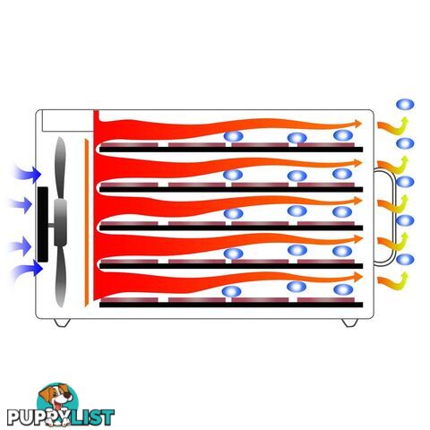 Stainless Steel Food Dehydrator _ÑÐ 10 Trays