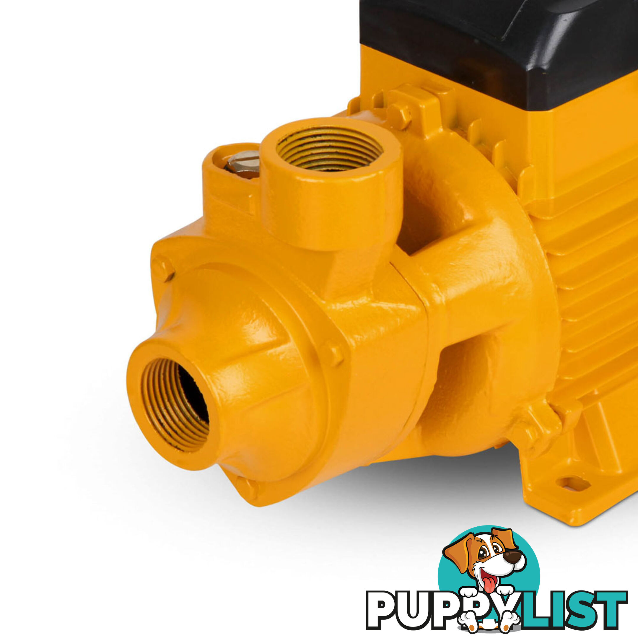 Electric Clean Water Pump 3300L/Hour 1/HP