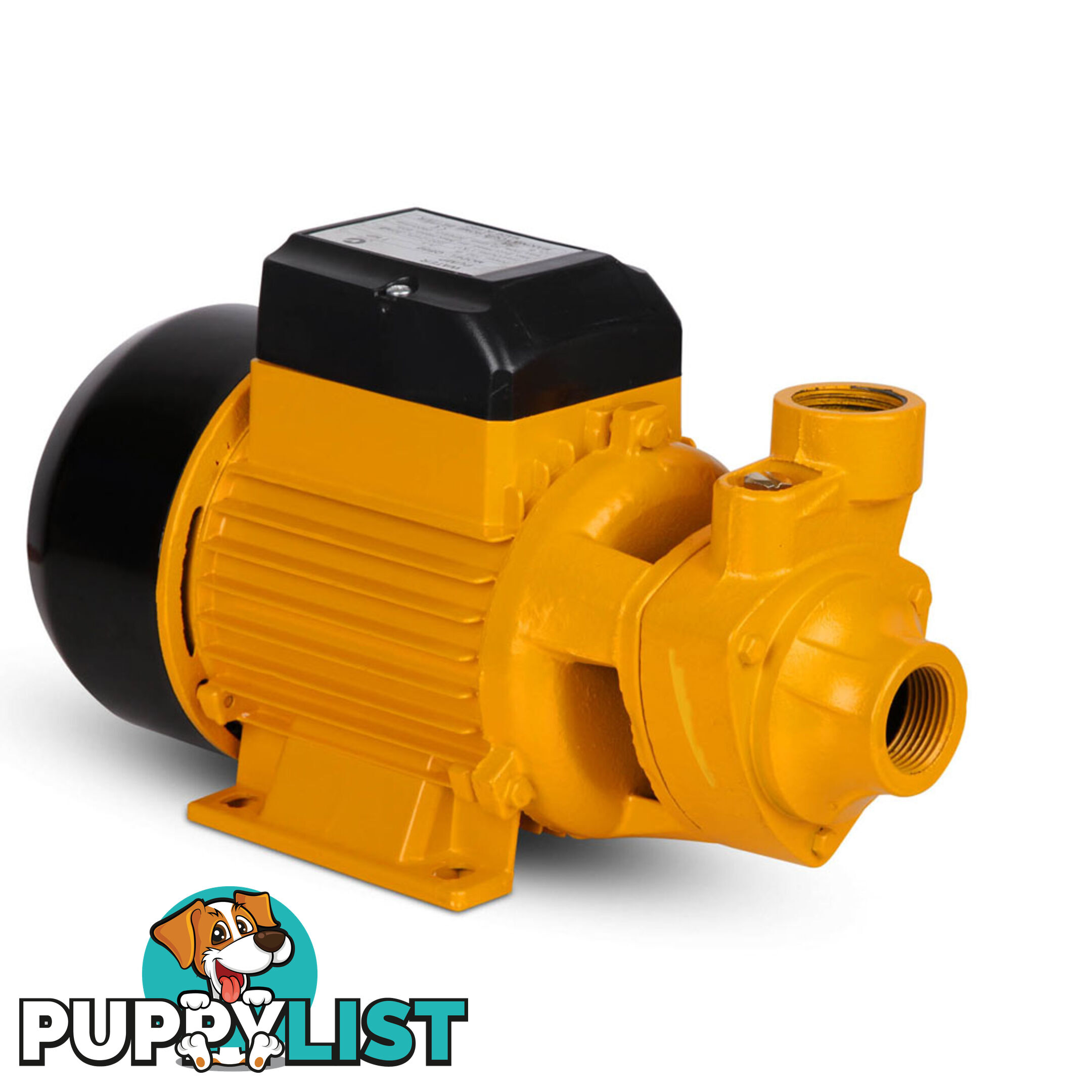 Electric Clean Water Pump 3300L/Hour 1/HP