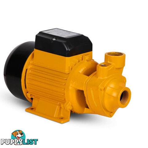 Electric Clean Water Pump 3300L/Hour 1/HP