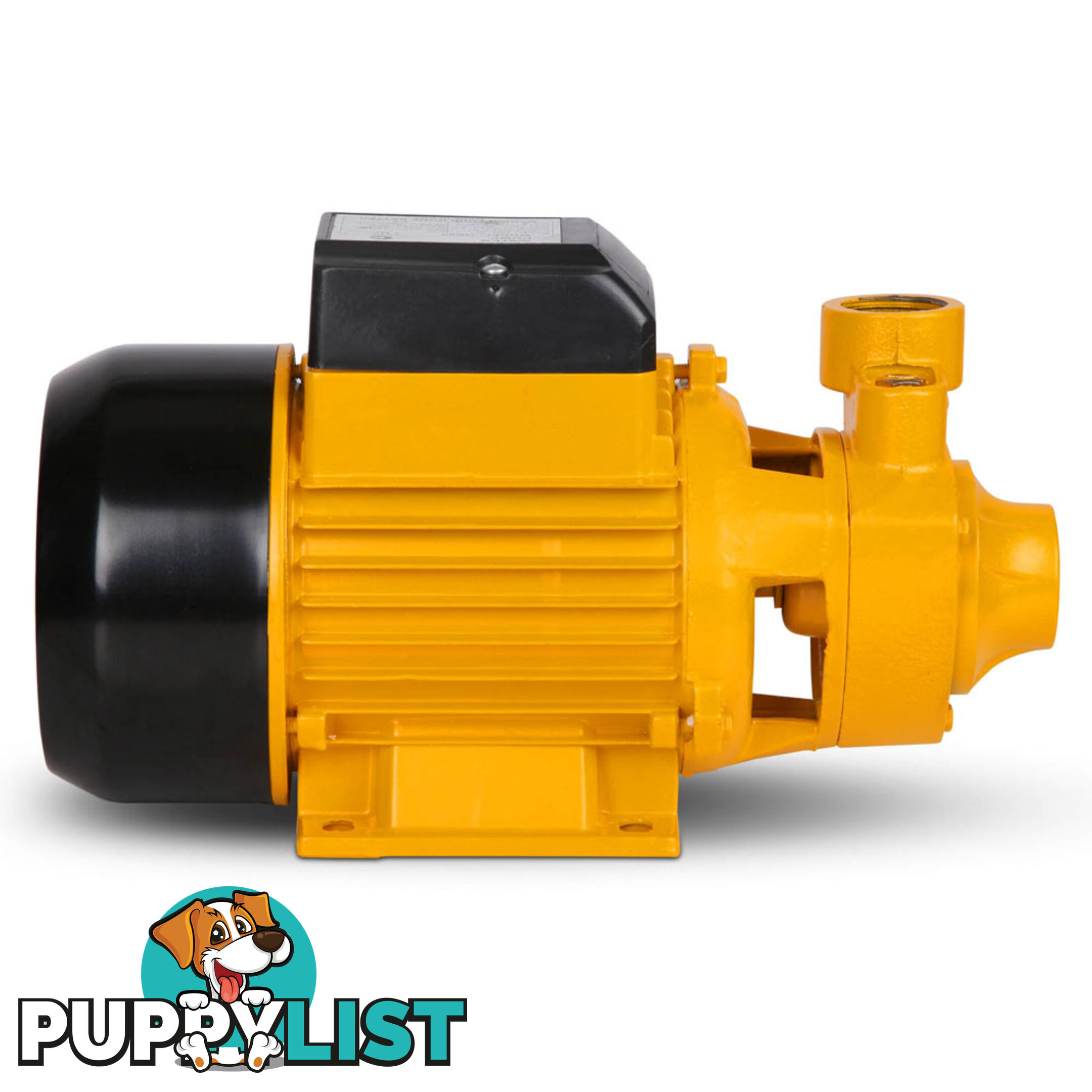 Electric Clean Water Pump 3300L/Hour 1/HP