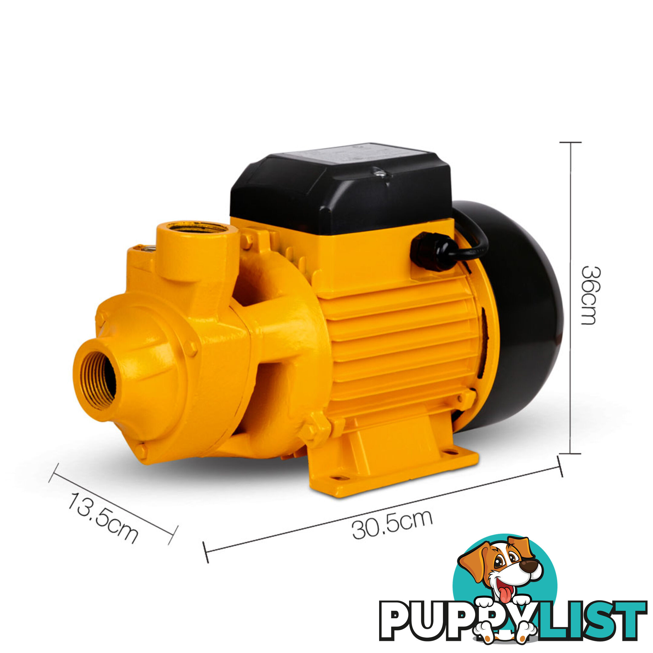 Electric Clean Water Pump 3300L/Hour 1/HP