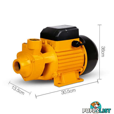 Electric Clean Water Pump 3300L/Hour 1/HP