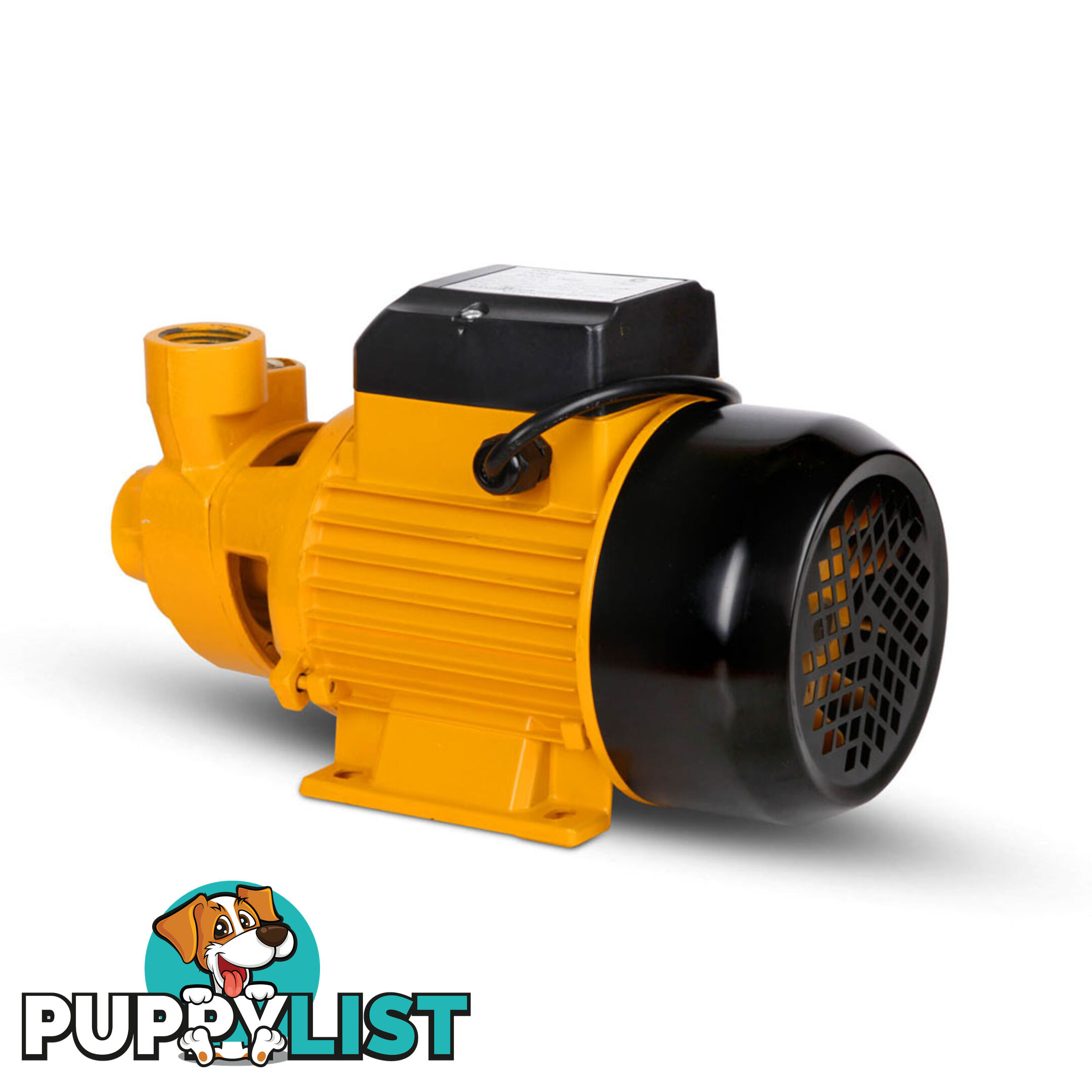 Electric Clean Water Pump 3300L/Hour 1/HP