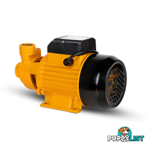 Electric Clean Water Pump 3300L/Hour 1/HP