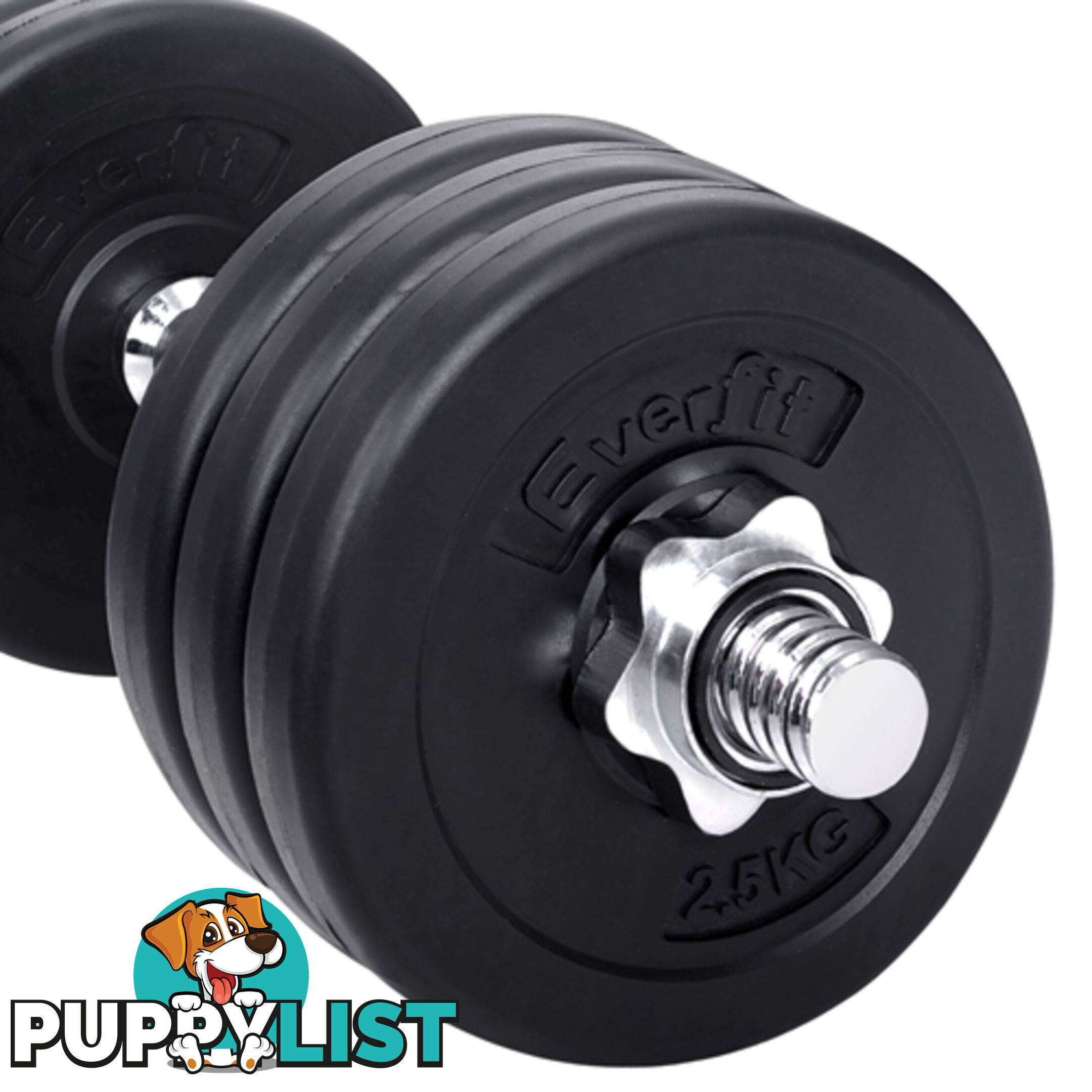 35kg Fitness Gym Exercise Dumbbell Set