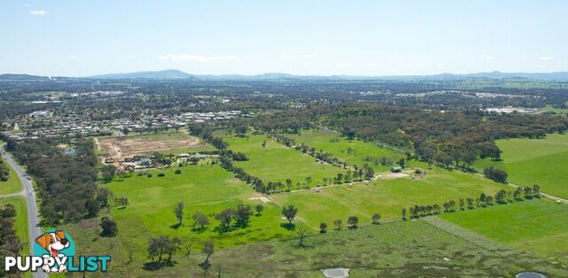 Lot 541 Billabong Place THURGOONA NSW 2640