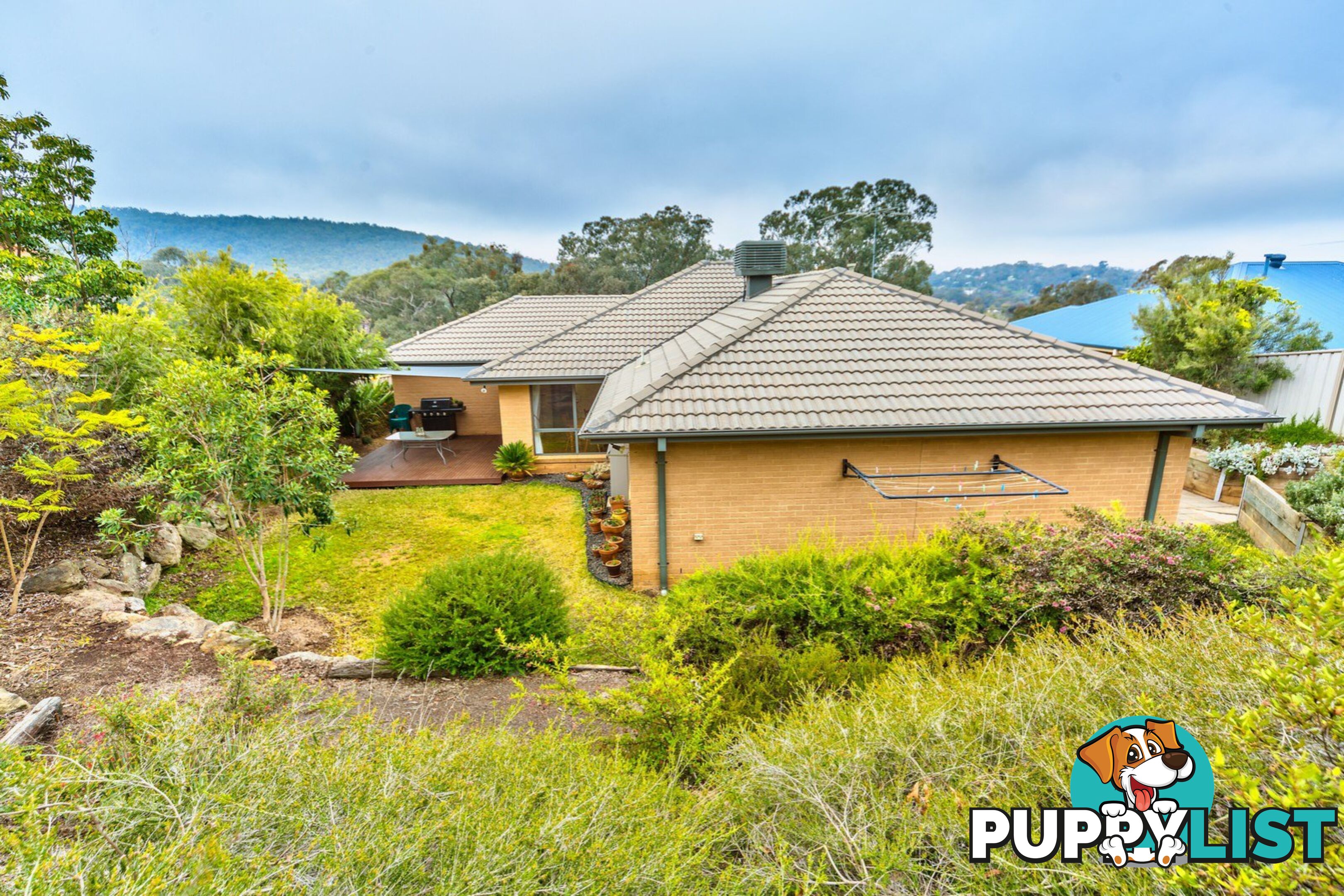 11 Briwood Court ALBURY NSW 2640