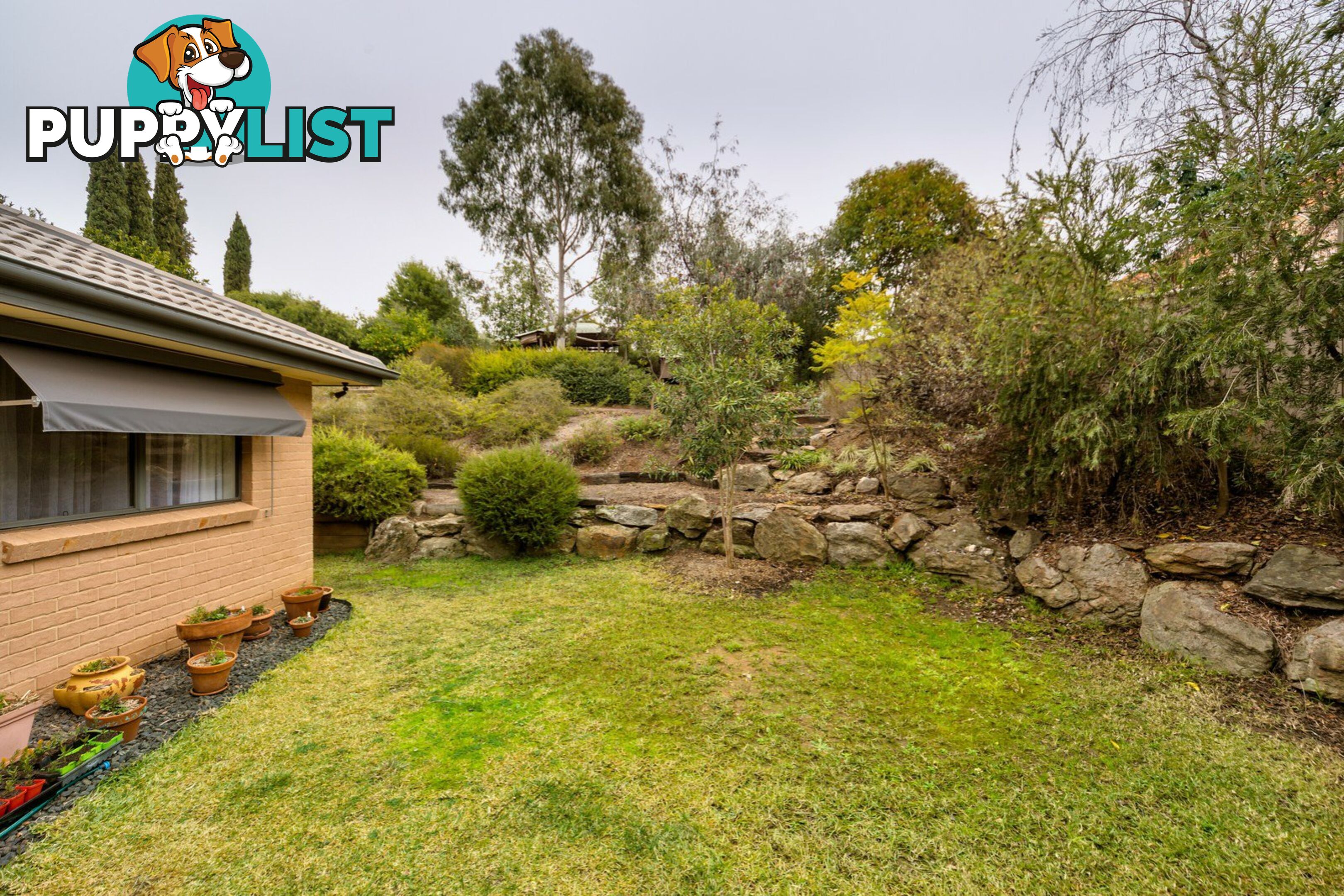 11 Briwood Court ALBURY NSW 2640