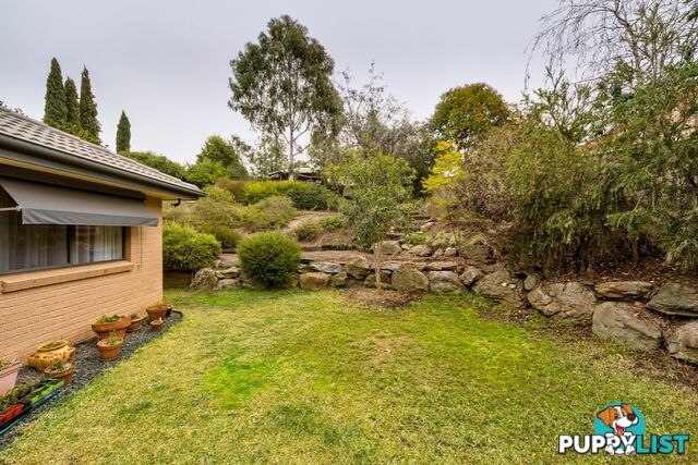 11 Briwood Court ALBURY NSW 2640