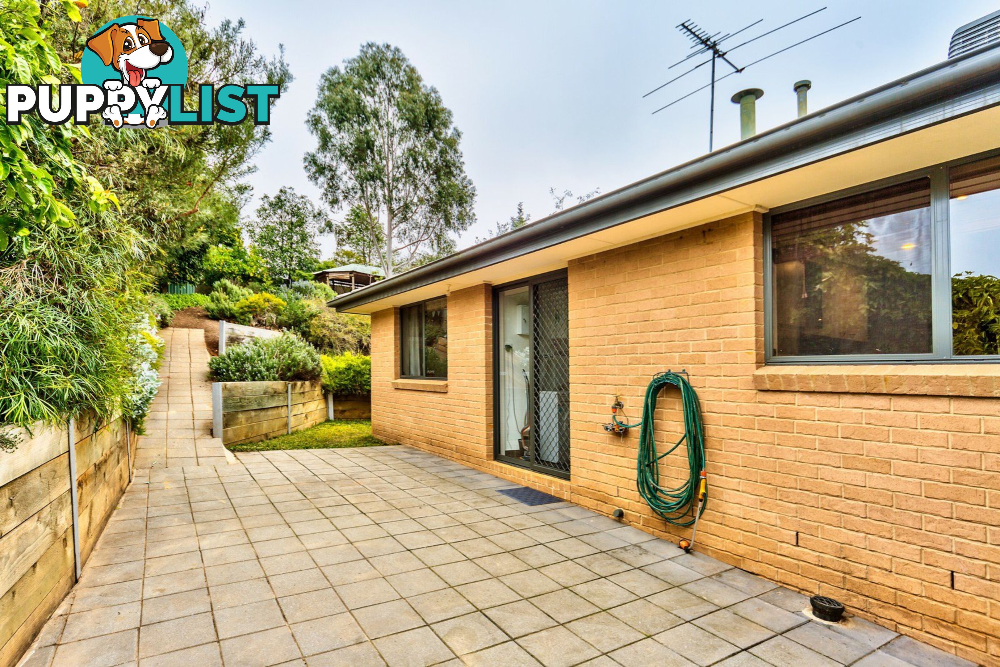 11 Briwood Court ALBURY NSW 2640