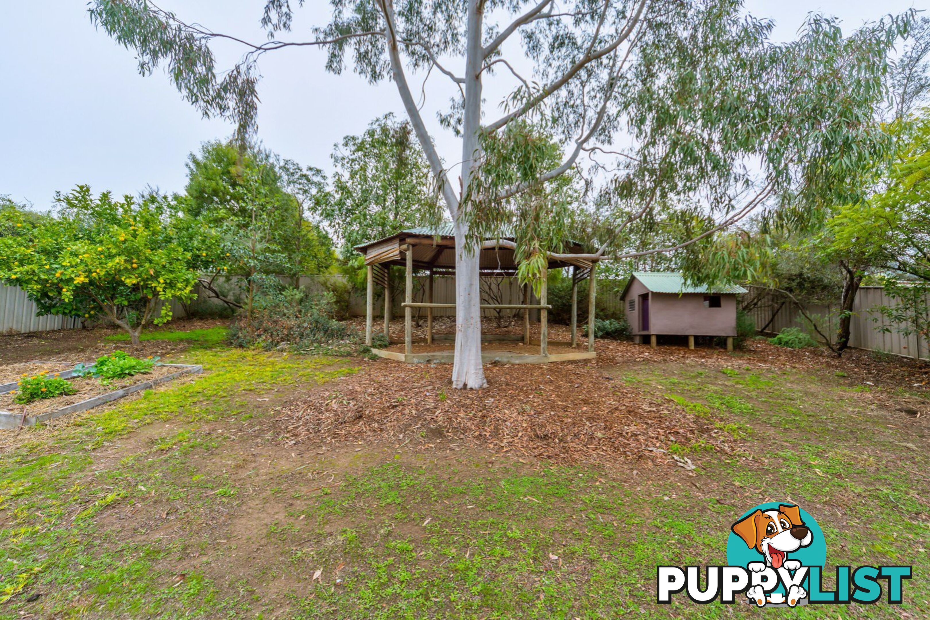 11 Briwood Court ALBURY NSW 2640