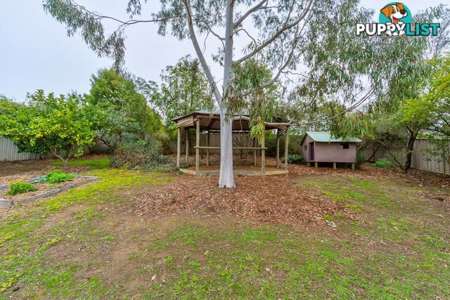 11 Briwood Court ALBURY NSW 2640