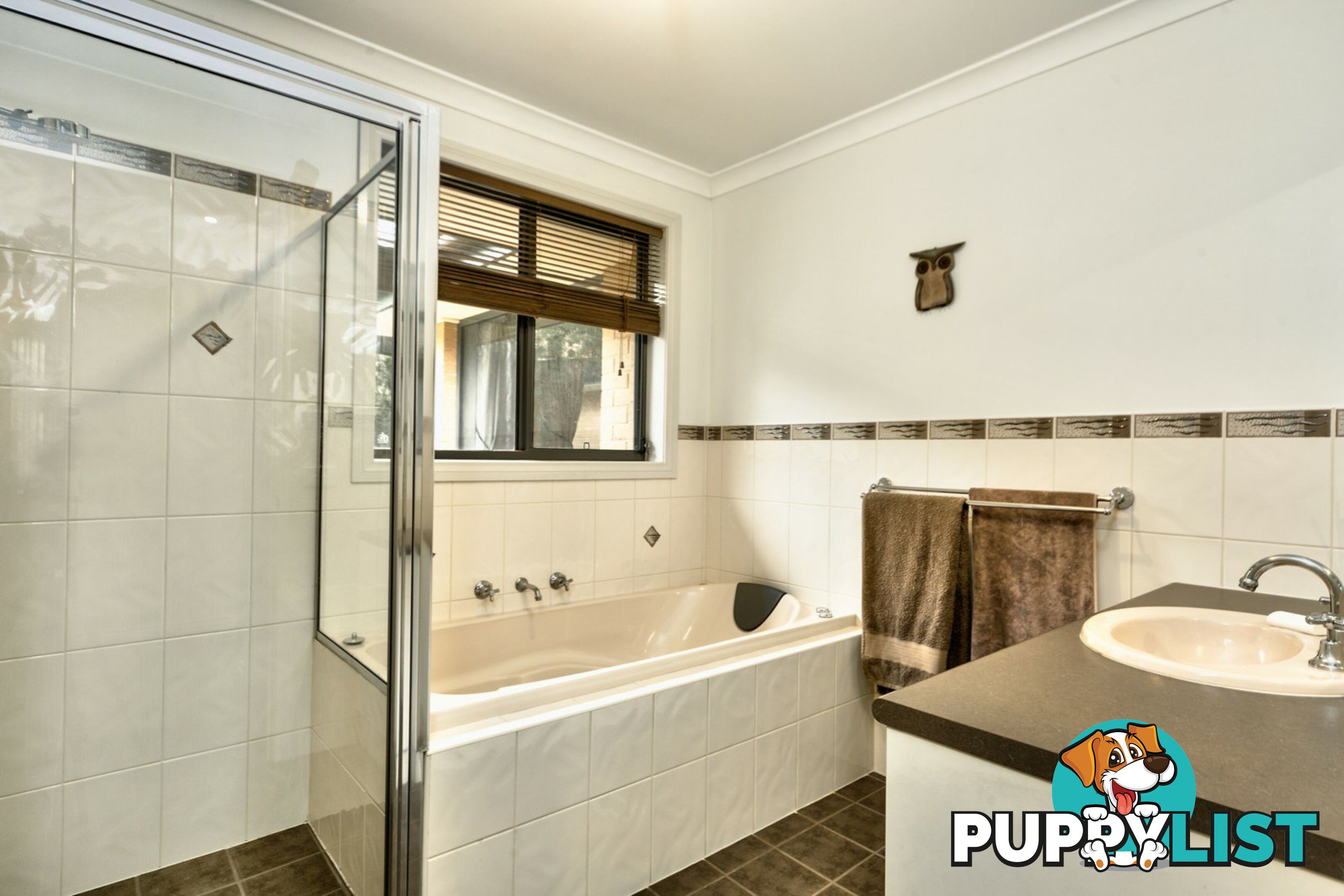 11 Briwood Court ALBURY NSW 2640