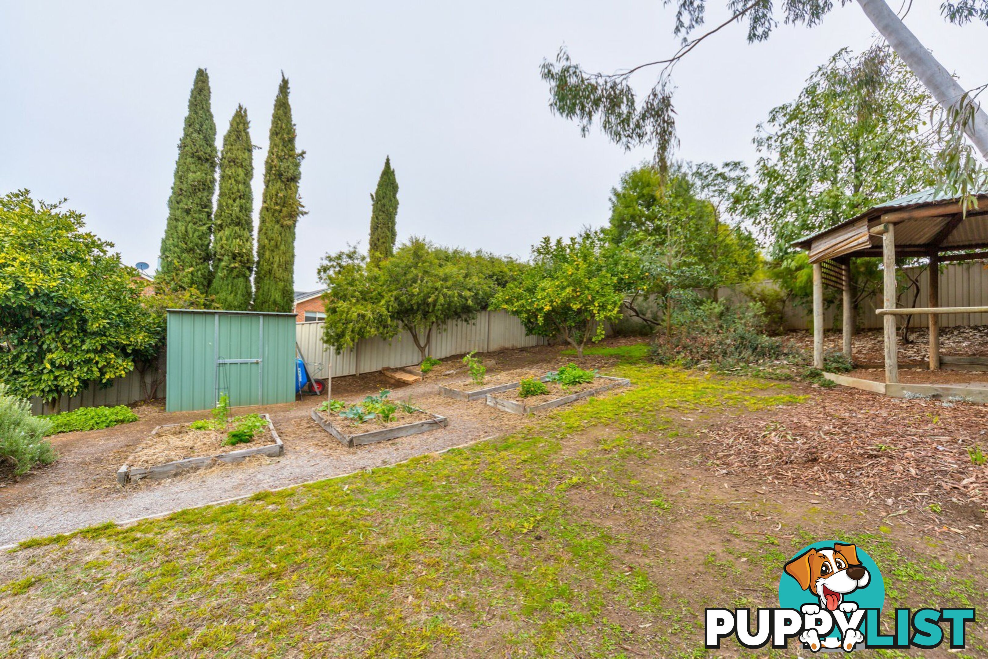 11 Briwood Court ALBURY NSW 2640