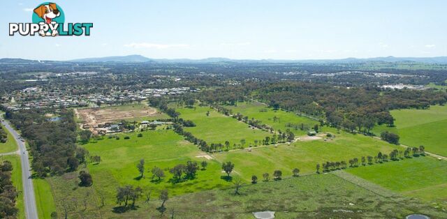 Lot 509 Meander Street THURGOONA NSW 2640