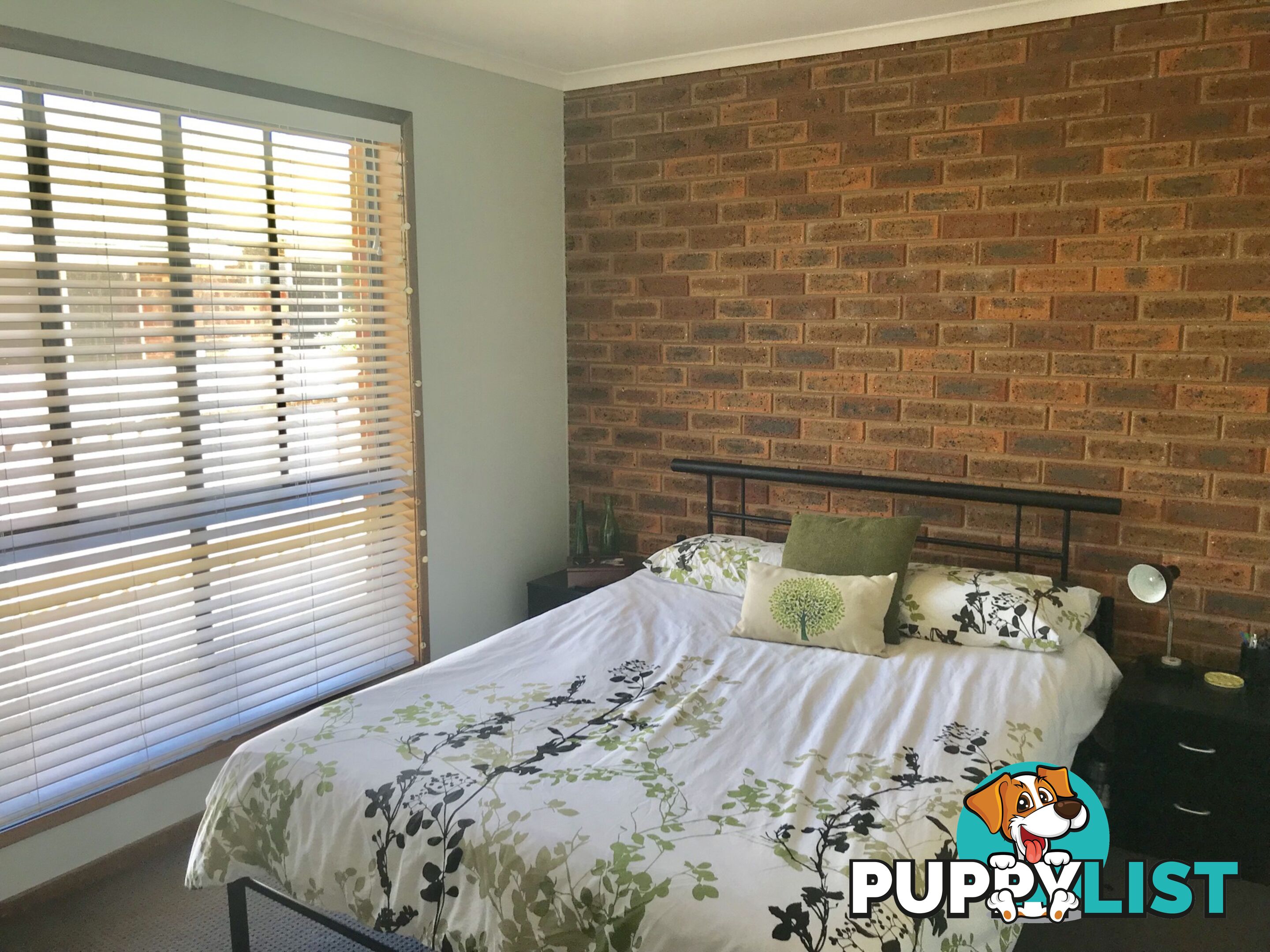 2/733 Lavis Street EAST ALBURY NSW 2640