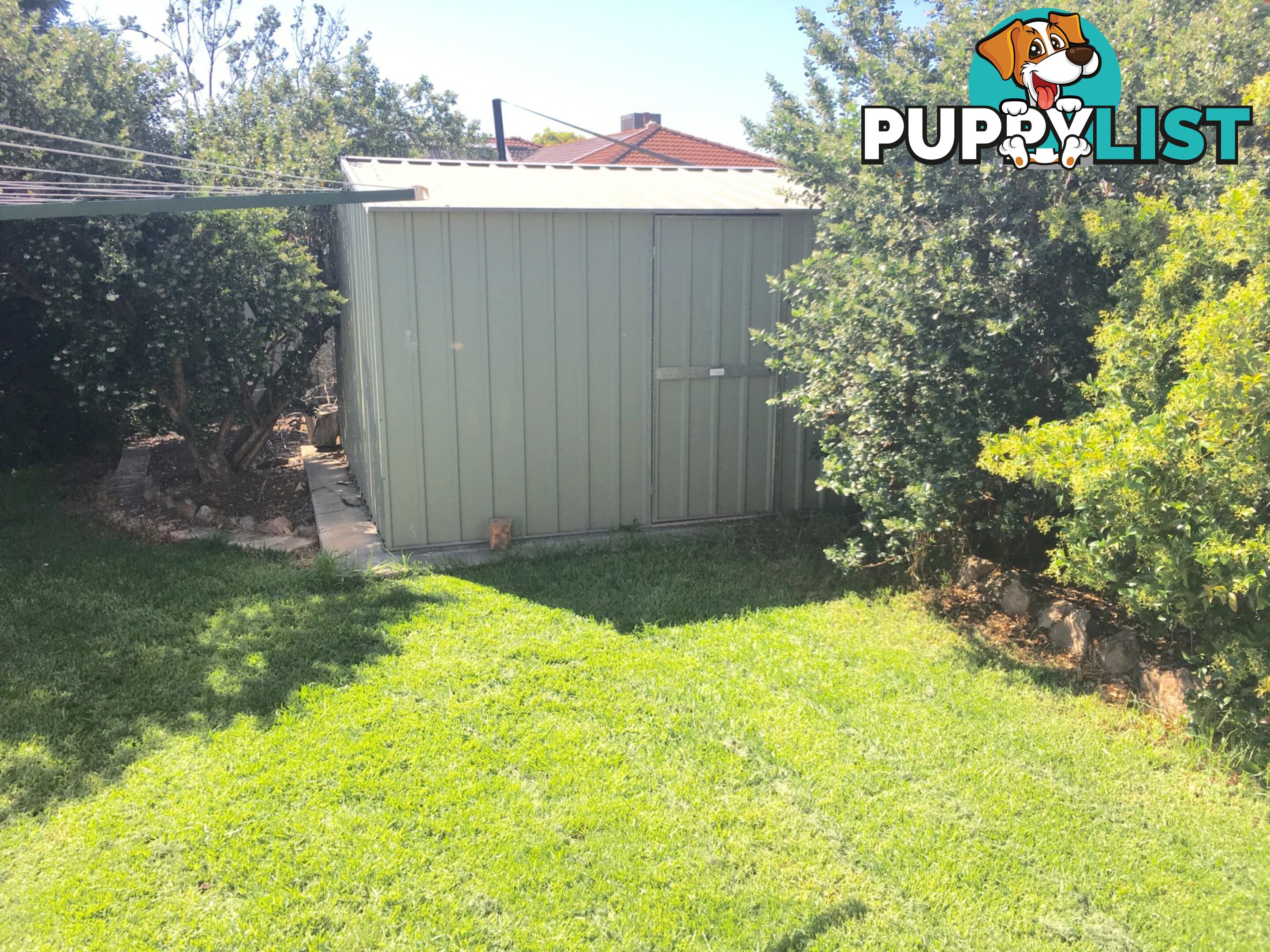 15 Fairbairn Street GLENROY NSW 2640