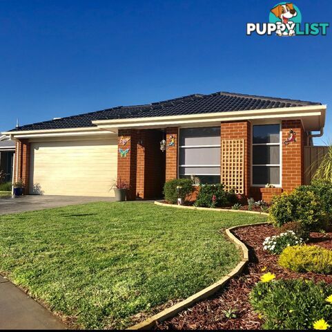 90 Greta Drive HAMILTON VALLEY NSW 2641