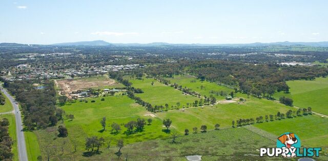 Lot 510 Meander Street THURGOONA NSW 2640