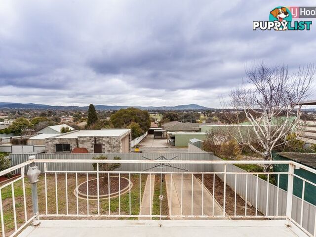 280 Peechelba Street EAST ALBURY NSW 2640