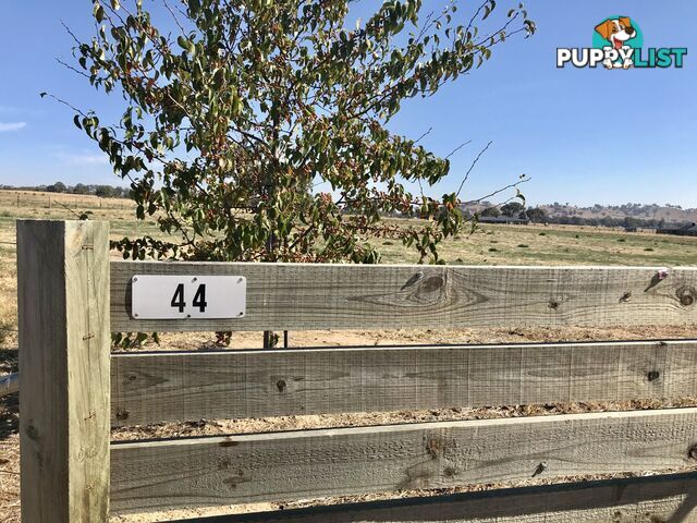 44 Coogera Circuit JINDERA NSW 2642