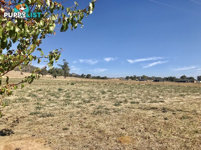 44 Coogera Circuit JINDERA NSW 2642