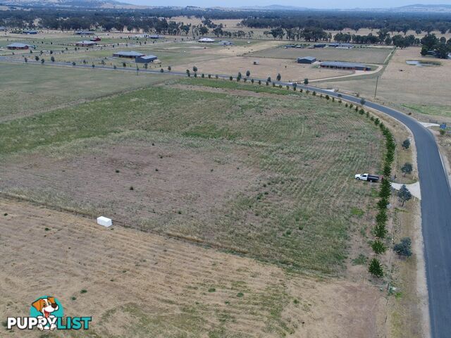 44 Coogera Circuit JINDERA NSW 2642