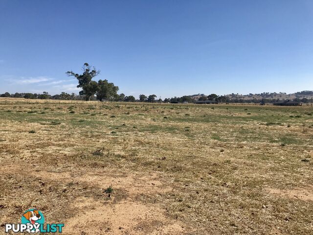 44 Coogera Circuit JINDERA NSW 2642