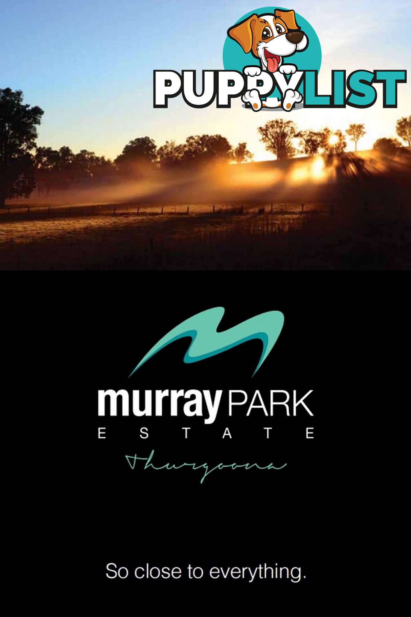 Lot 534 Riverboat Drive THURGOONA NSW 2640