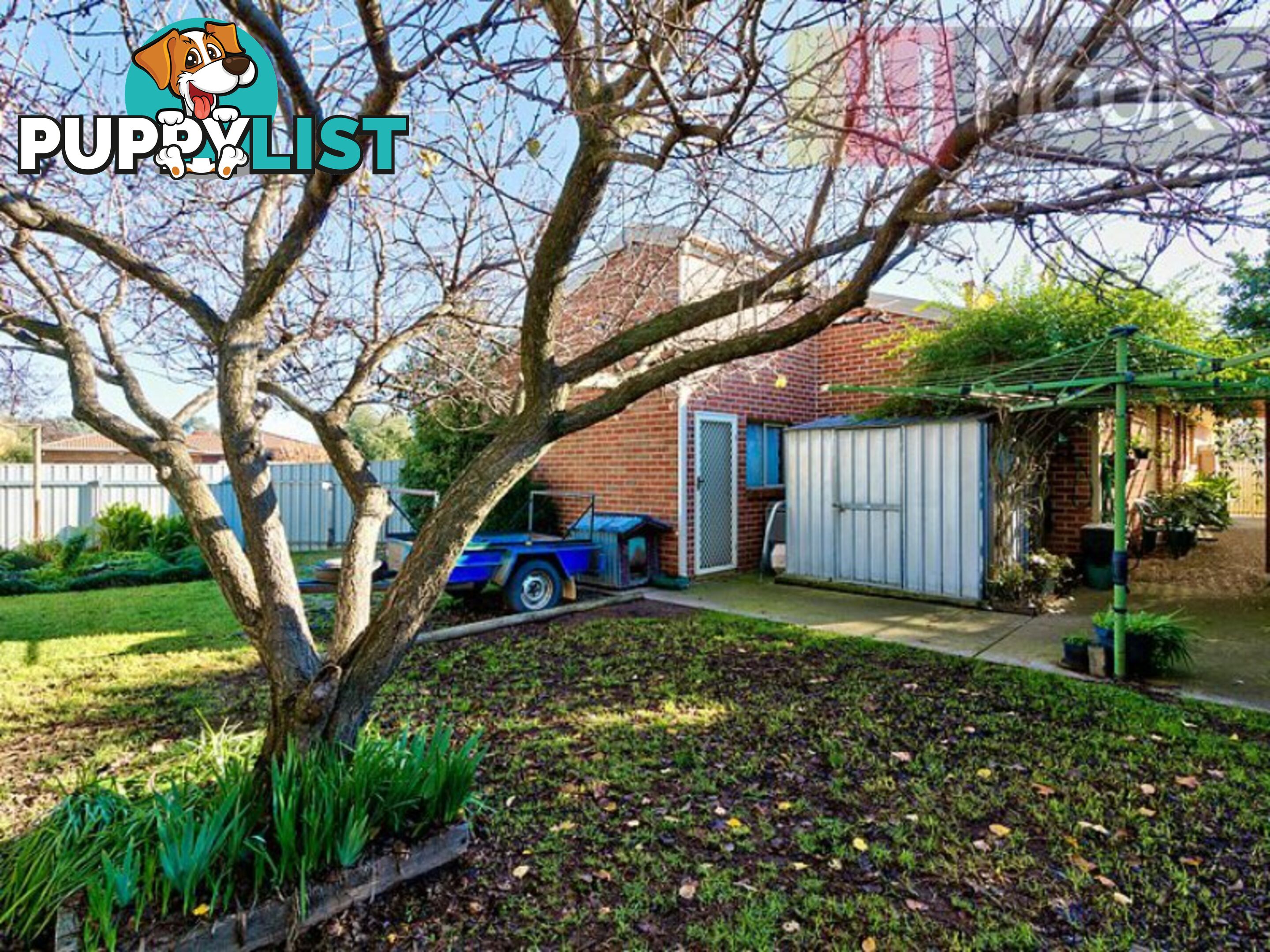 31 Neptune Drive ALBURY NSW 2640