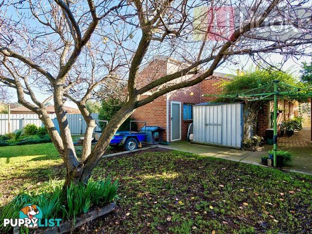 31 Neptune Drive ALBURY NSW 2640