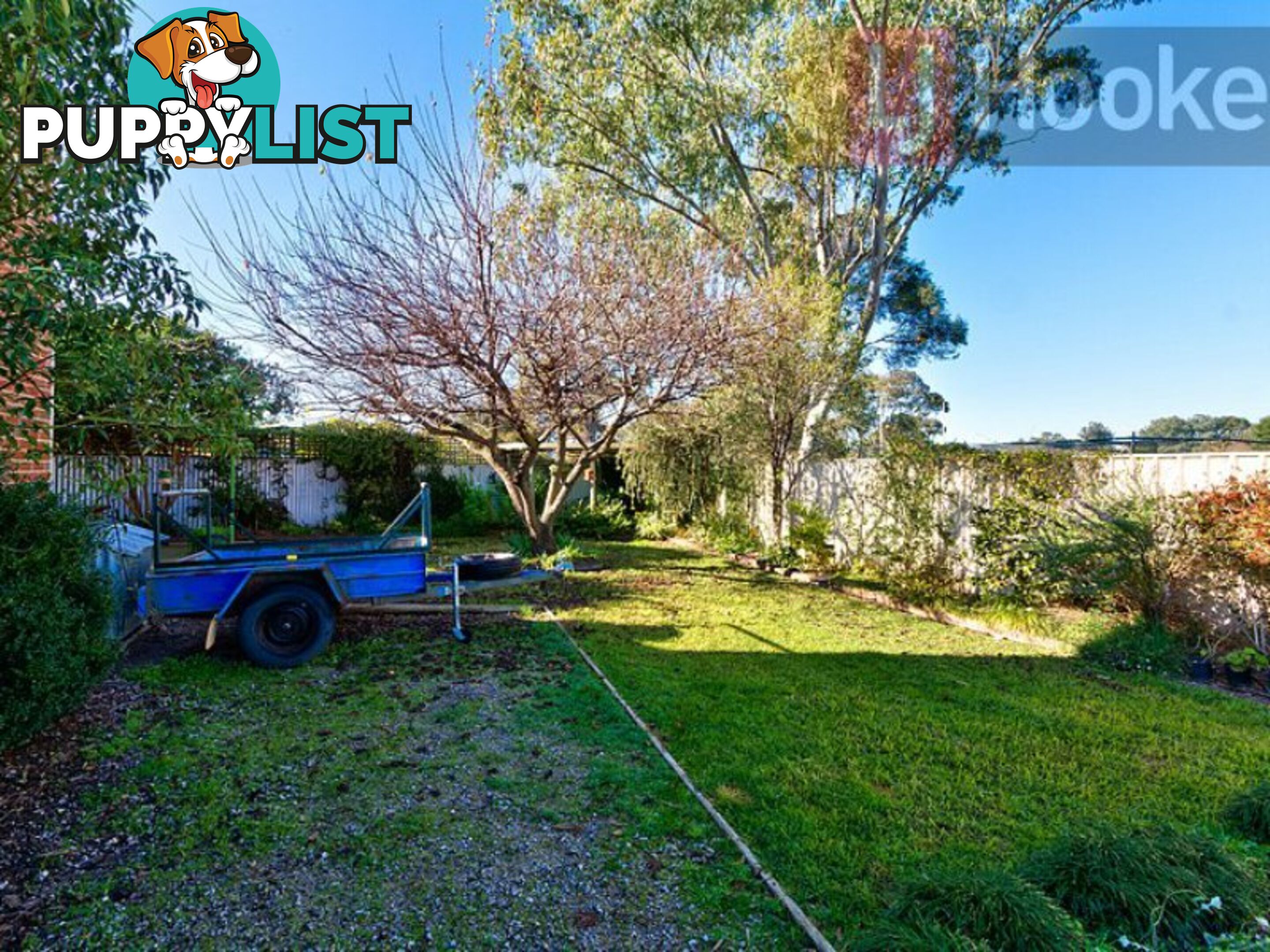 31 Neptune Drive ALBURY NSW 2640