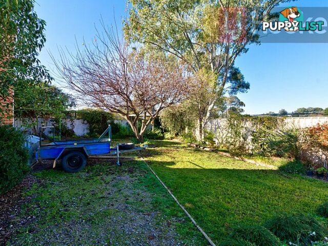 31 Neptune Drive ALBURY NSW 2640