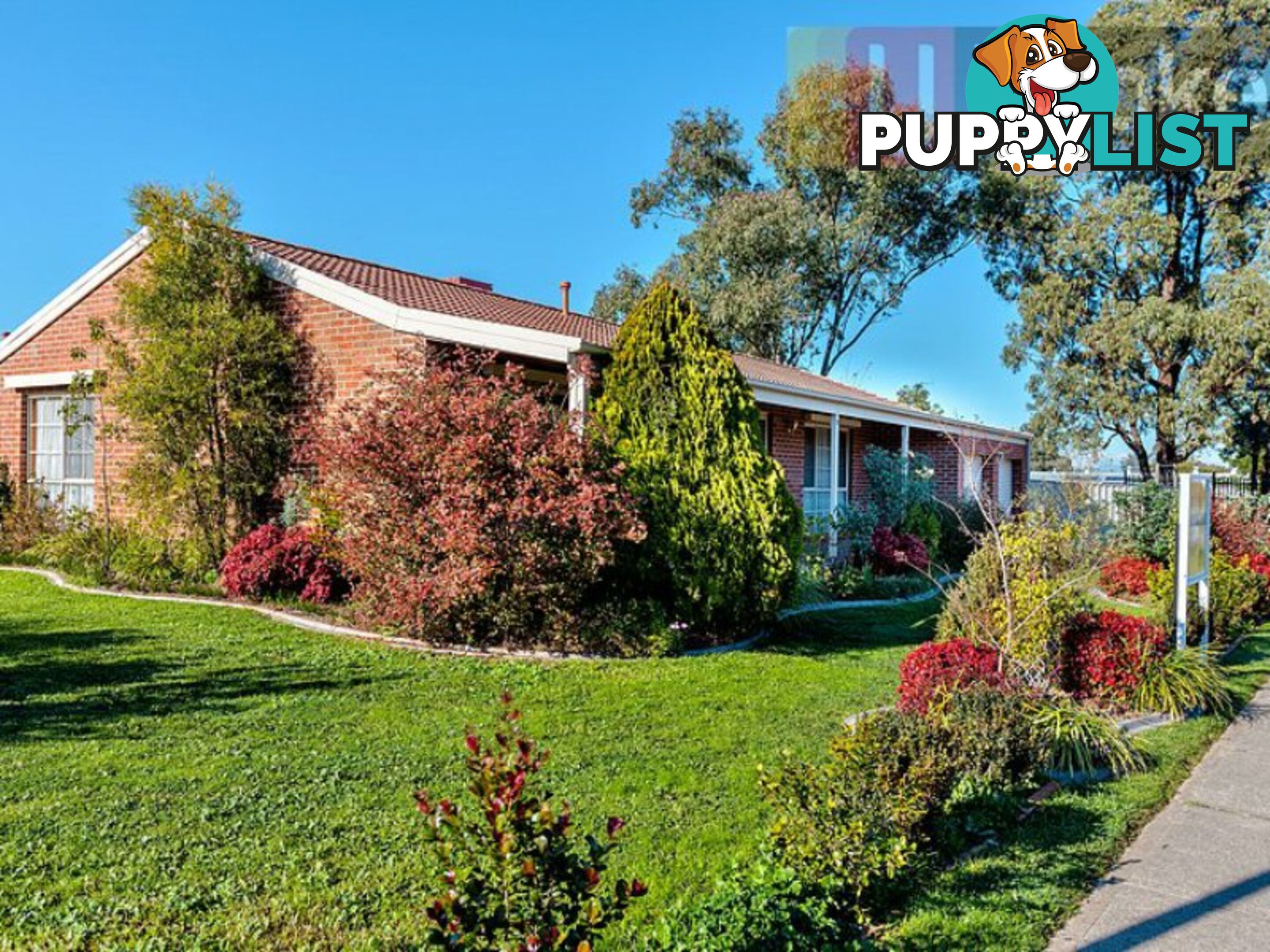 31 Neptune Drive ALBURY NSW 2640