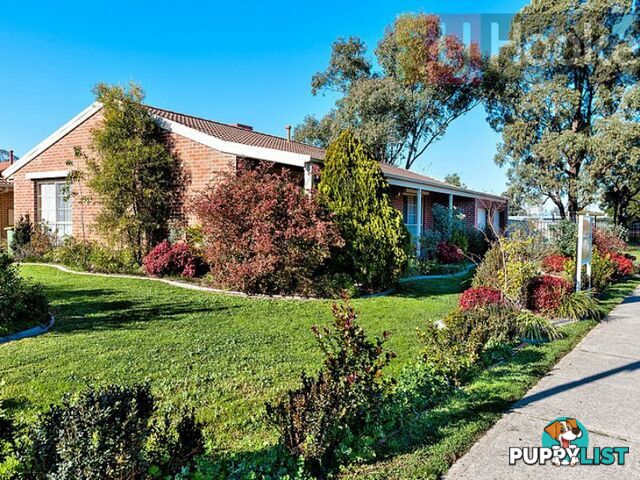 31 Neptune Drive ALBURY NSW 2640