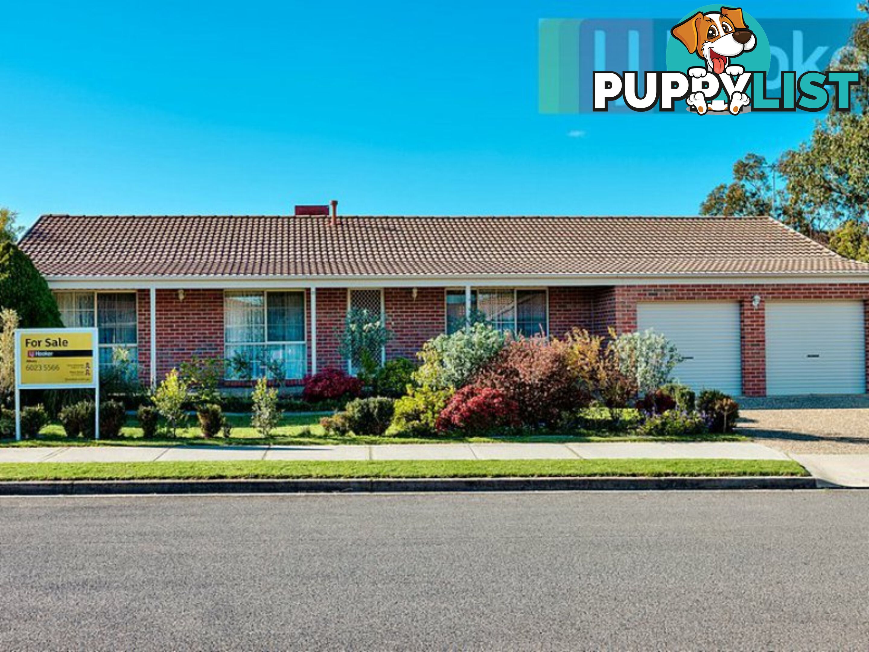 31 Neptune Drive ALBURY NSW 2640