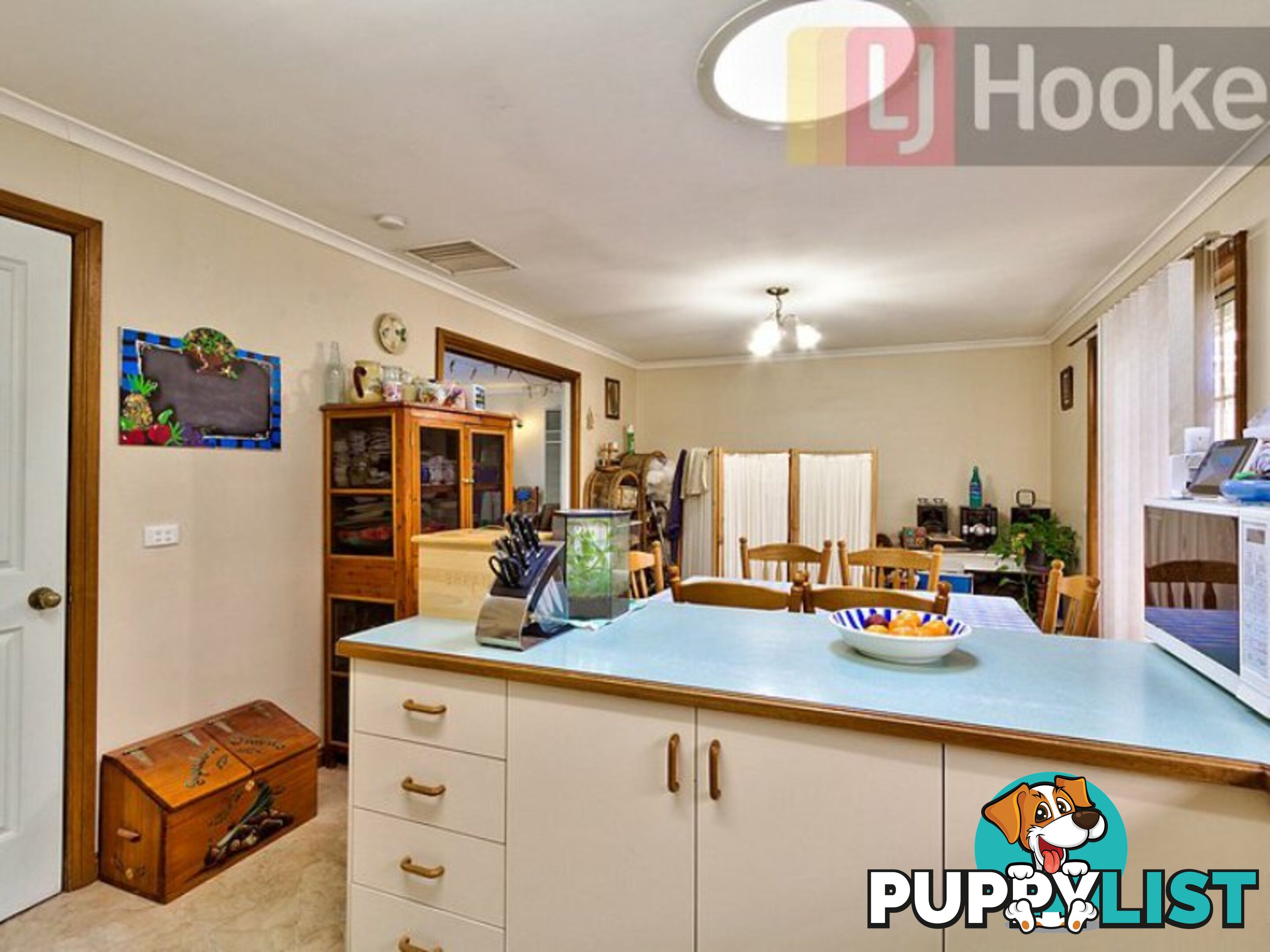 31 Neptune Drive ALBURY NSW 2640