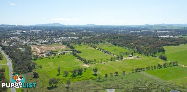 Lot 511 Meander Street THURGOONA NSW 2640