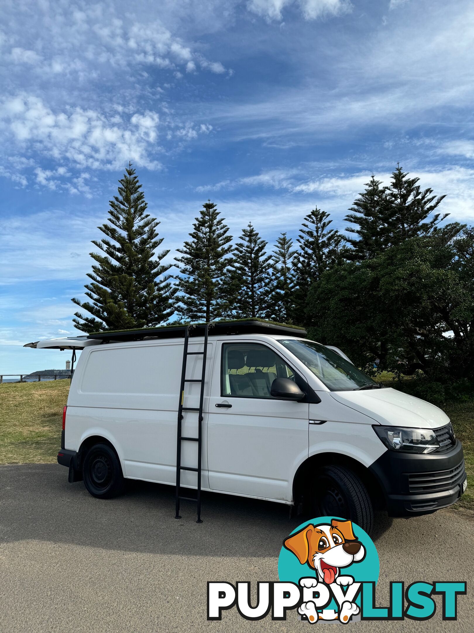 &#39;frankie van&#39; CONVERTED VAN - VW Transporter 2017