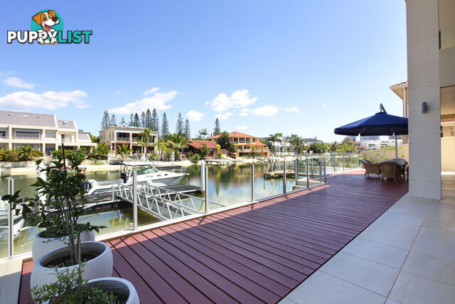 24 Norseman Court PARADISE WATERS QLD 4217