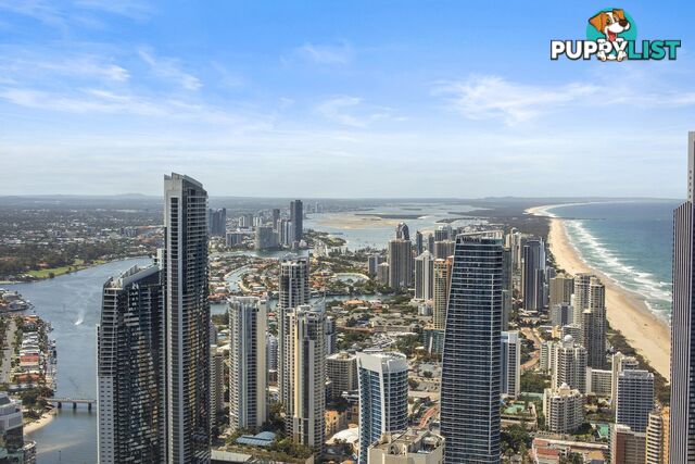 7001/9 Hamilton Avenue SURFERS PARADISE QLD 4217