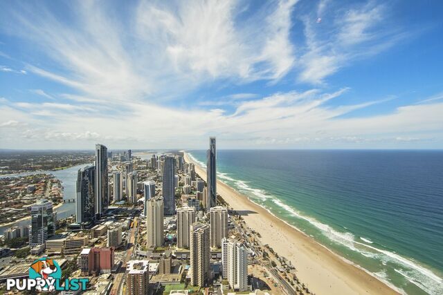 7001/9 Hamilton Avenue SURFERS PARADISE QLD 4217