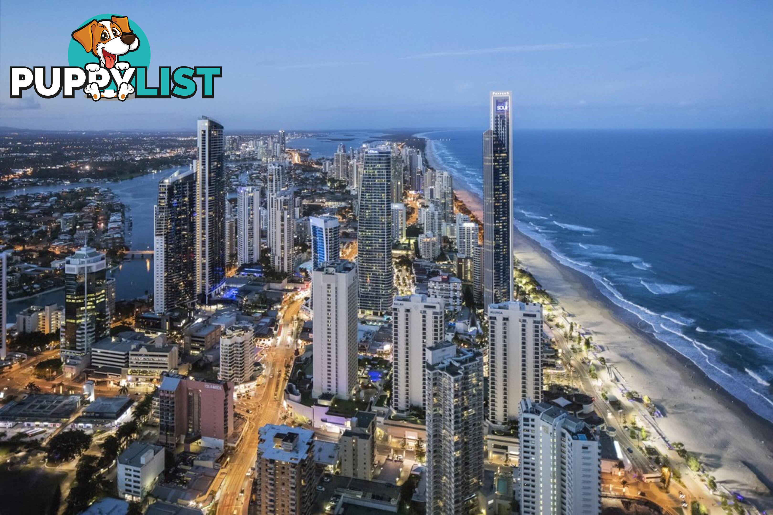 7001/9 Hamilton Avenue SURFERS PARADISE QLD 4217