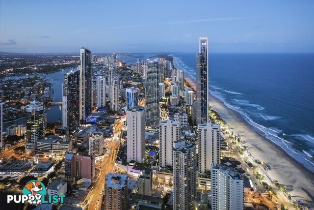 7001/9 Hamilton Avenue SURFERS PARADISE QLD 4217