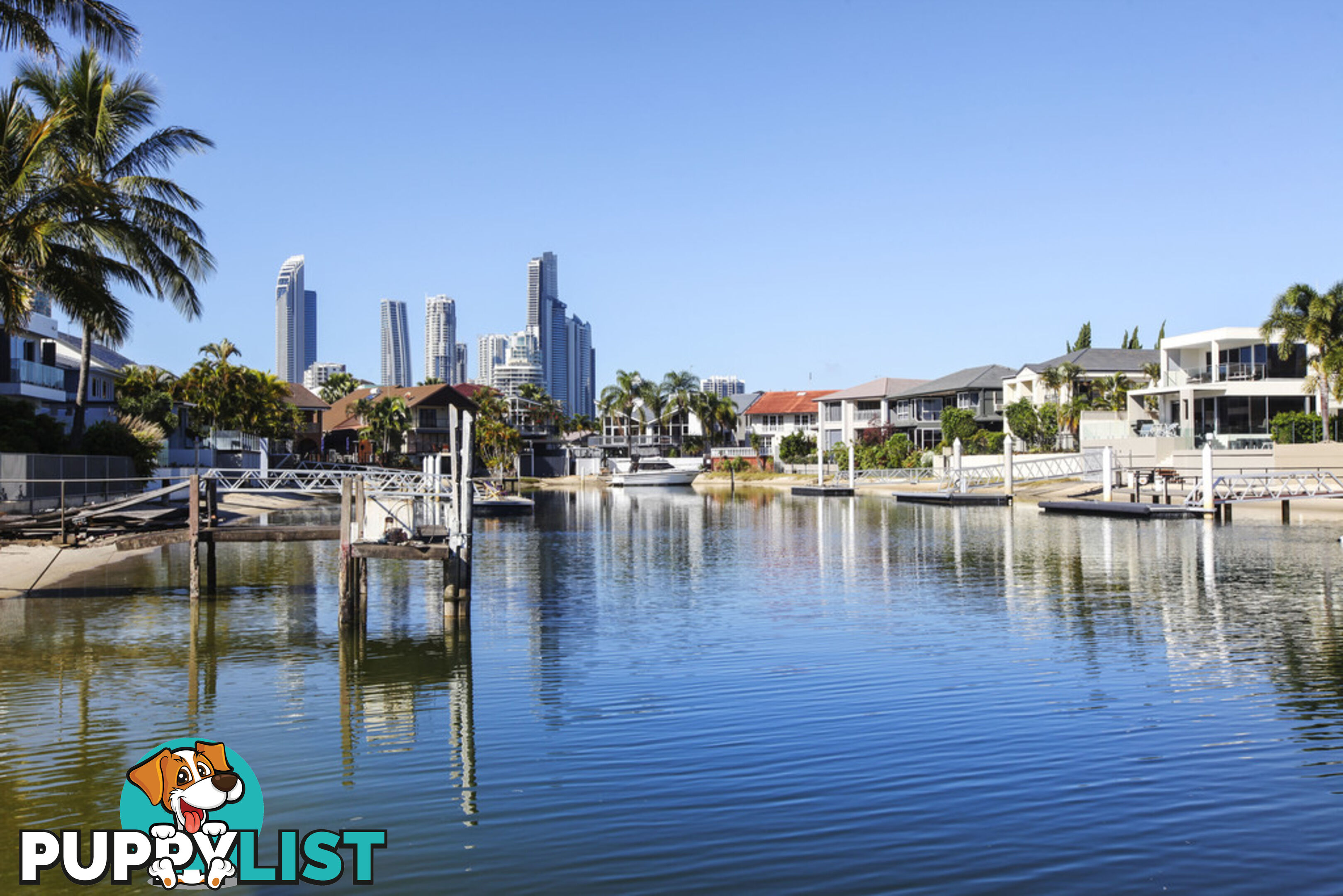 14 Midshipman Court PARADISE WATERS QLD 4217