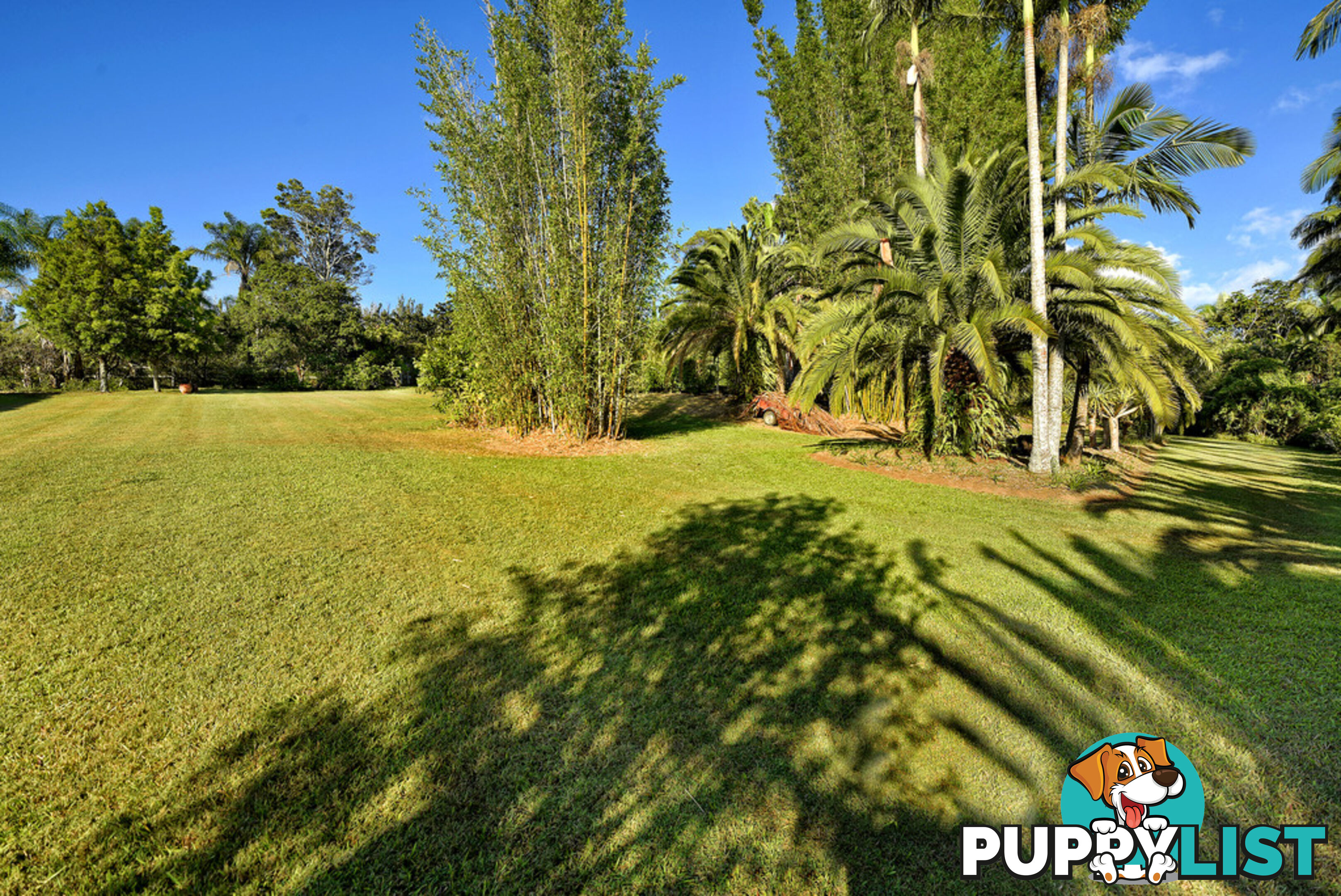 5 Darwalla Road MOUNT NATHAN QLD 4211