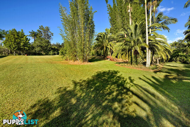 5 Darwalla Road MOUNT NATHAN QLD 4211